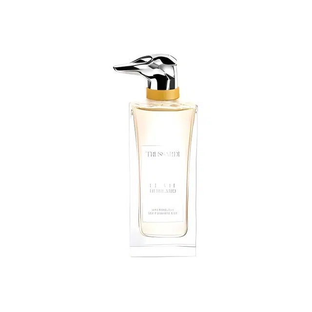 100ml