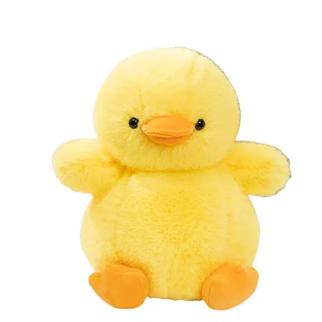 25cm35cm