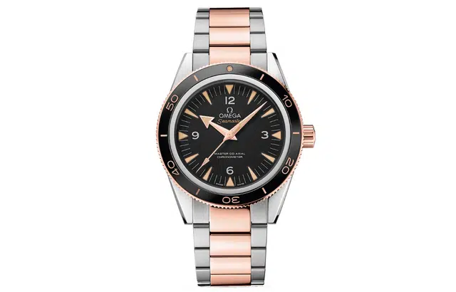 Omega Seamaster 233.20.41.21.01.001
