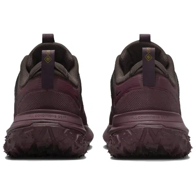 Nike ACG Mountain Fly 2 LOW Gore-Tex