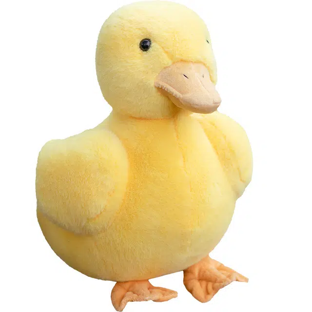 20cm30cm