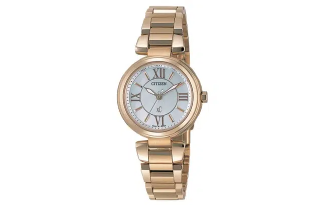 CITIZEN xc 100 18k ES5013-53A