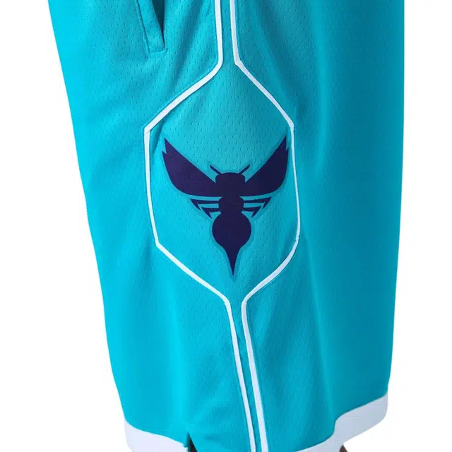 Jordan NBA Logo