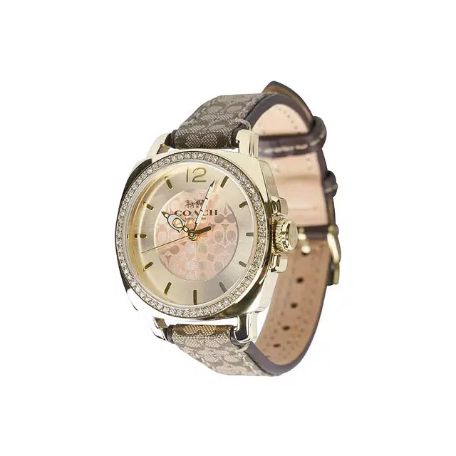 COACH Boyfriend 14502509