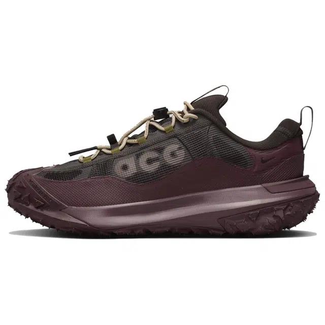 Nike ACG Mountain Fly 2 LOW Gore-Tex