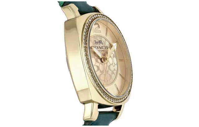 COACH 35mm 14503982