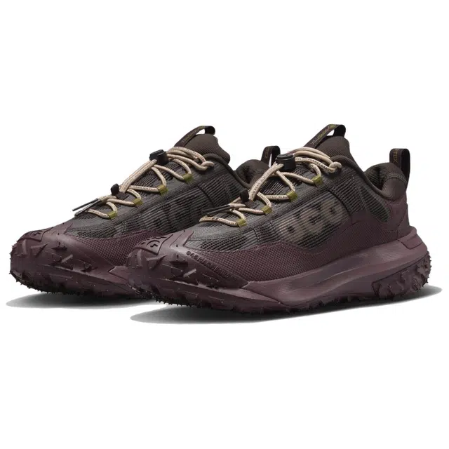 Nike ACG Mountain Fly 2 LOW Gore-Tex