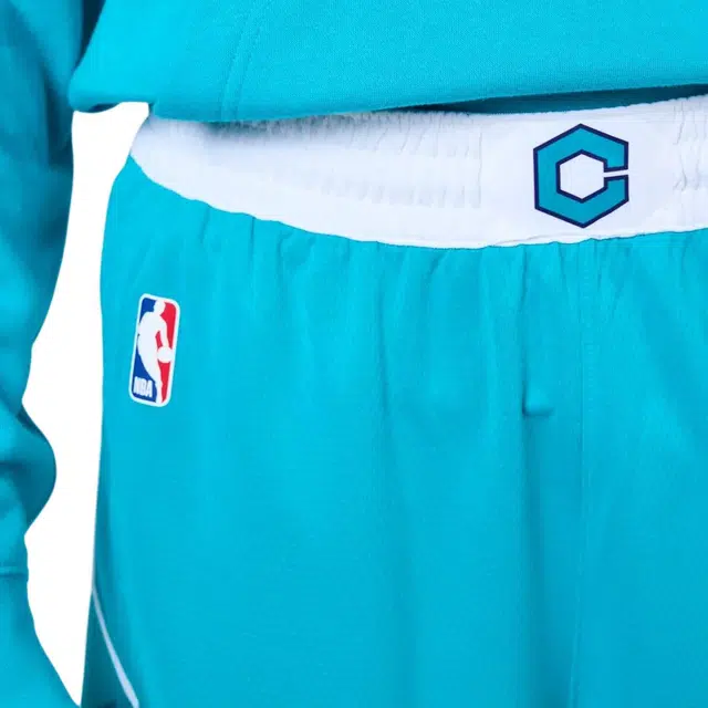 Jordan NBA Logo