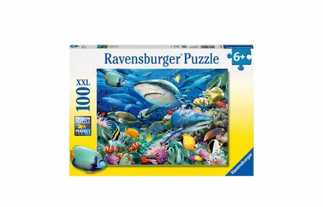 Ravensburger 100pcs 109517