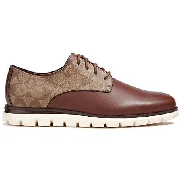 COACH Hybrid