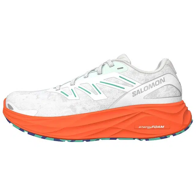 SALOMON AERO GLIDE 2