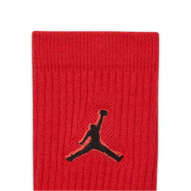 Jordan Everyday Max 3