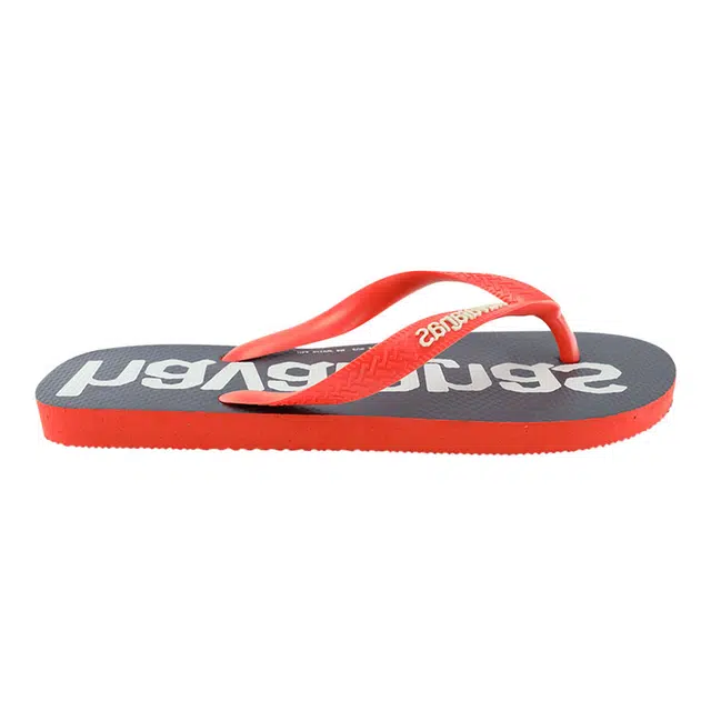 Havaianas