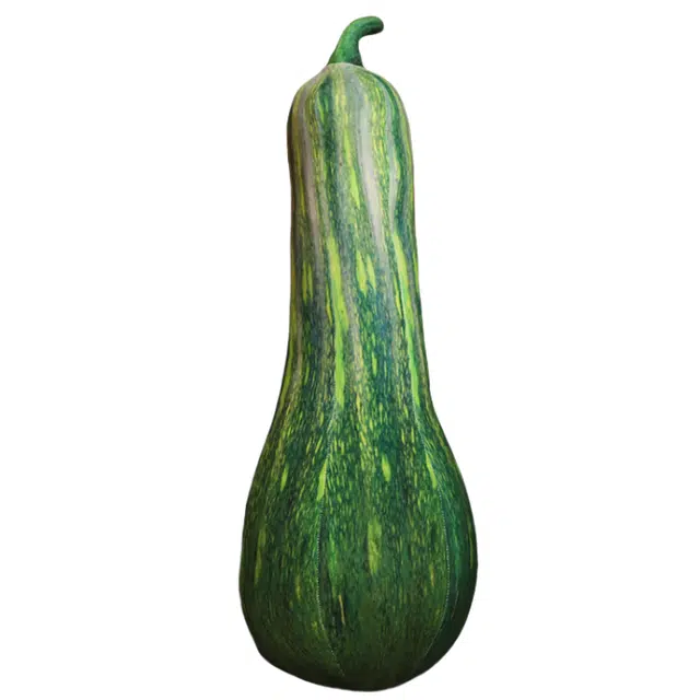 20cm40cm60cm80cm100cm120cm