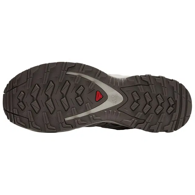 SALOMON XA PRO 3D