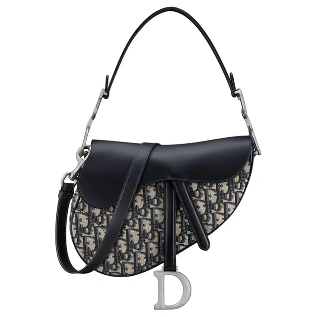 DIOR D Oblique