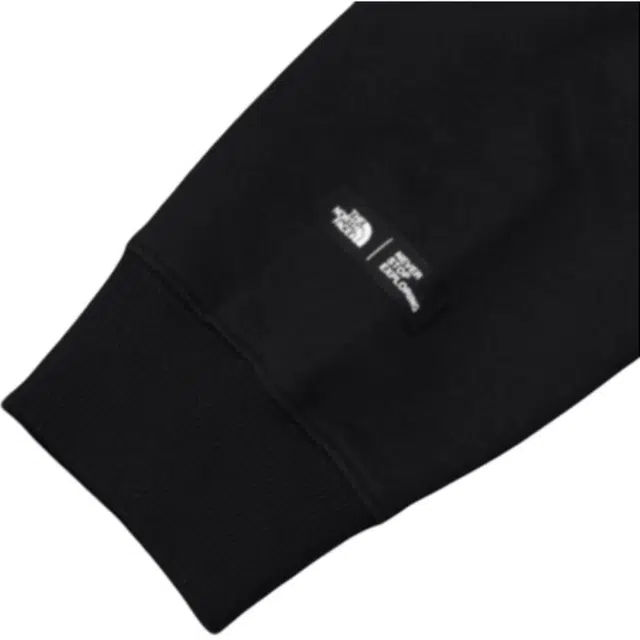 THE NORTH FACE Logo