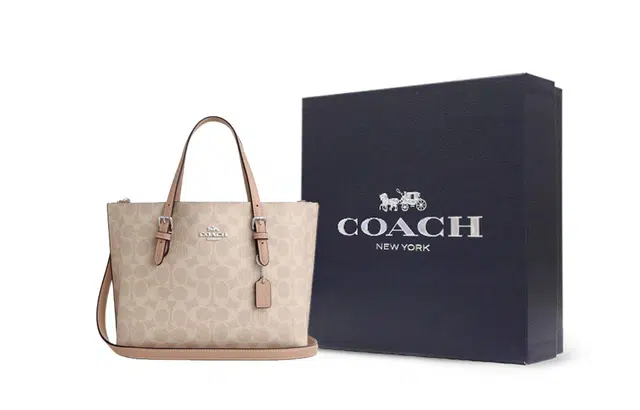 COACH Mollie 25 Tote