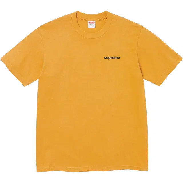 Supreme FW24 WEEK1 Money Tee T