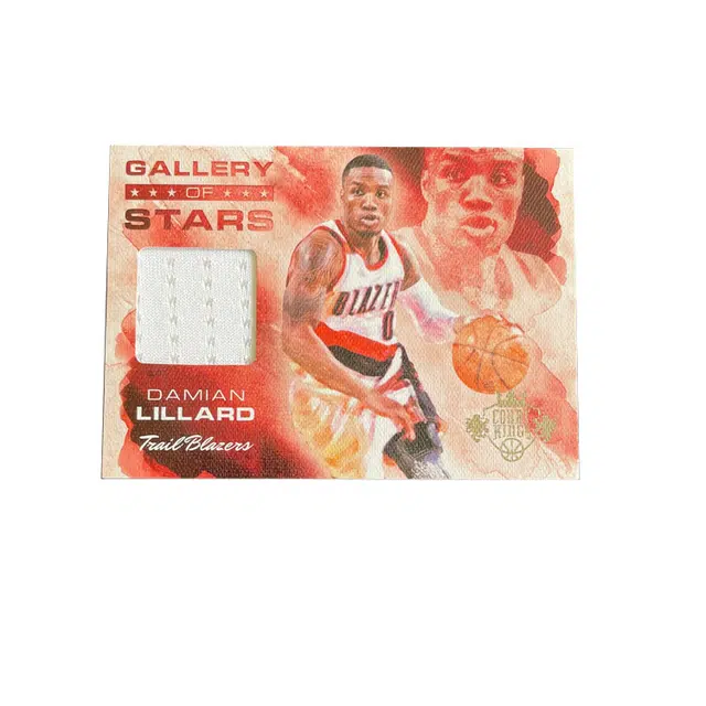 PANINI 2013-14 081325