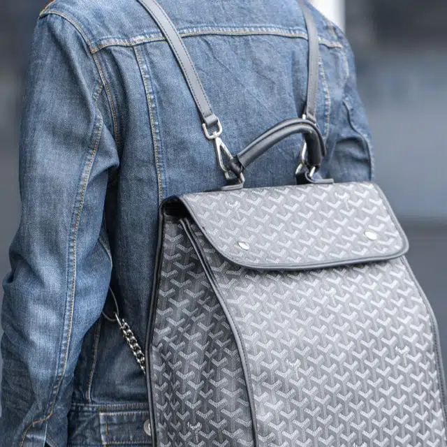 FANJI Goyard