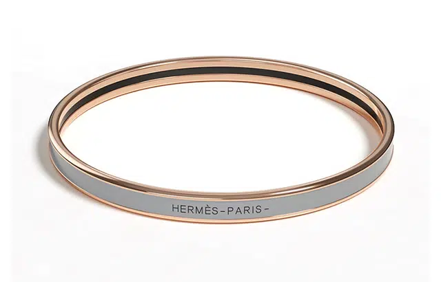 HERMES Logo