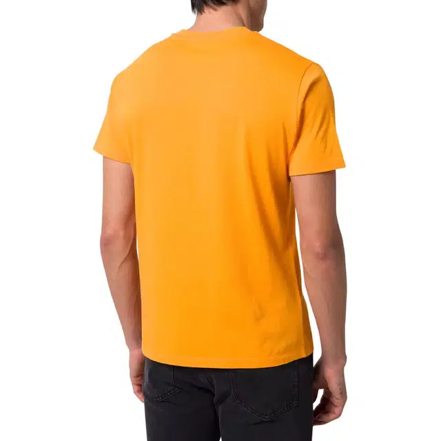 Vilebrequin T