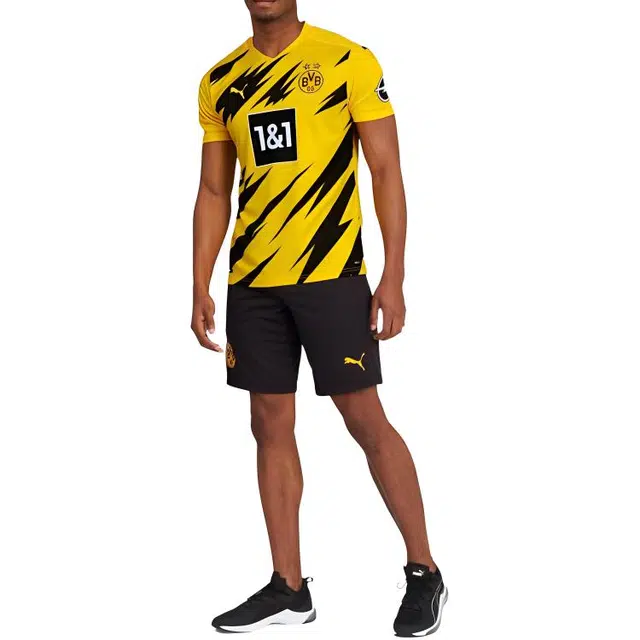 Puma T