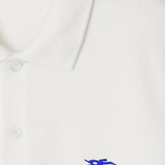 Burberry LogoPolo
