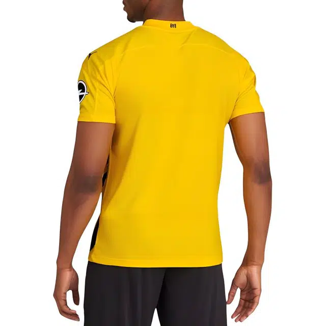 Puma T