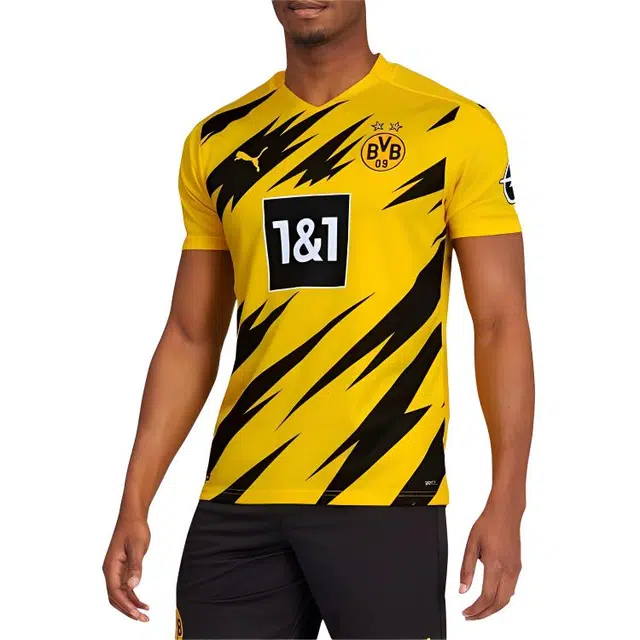 Puma T