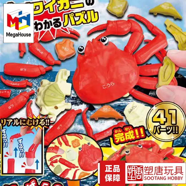 MegaHouse 3D