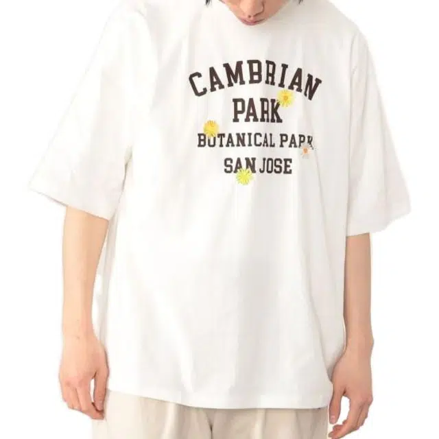 beams T