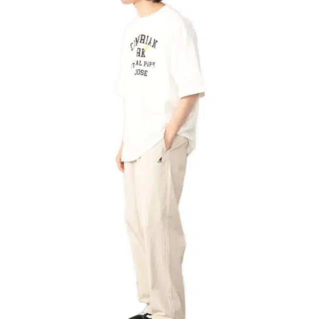 beams T