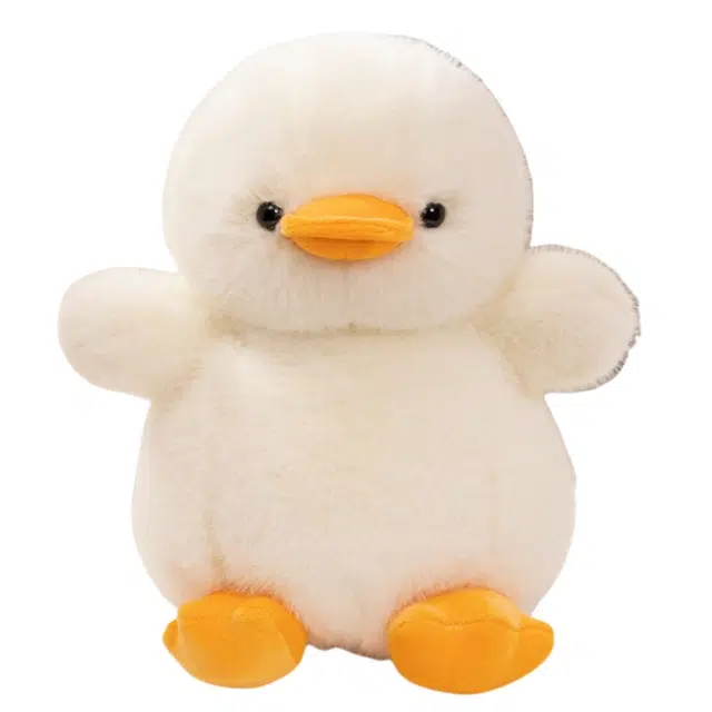lionf 25cm32cm