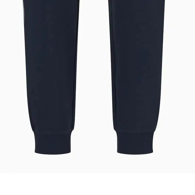 EMPORIO ARMANI EA7 SS24 Logo