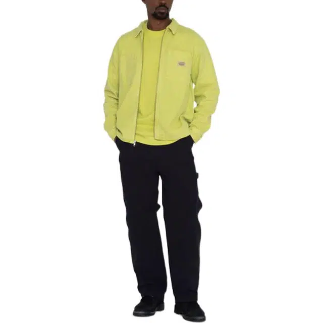 Stussy Canvas Work Pant