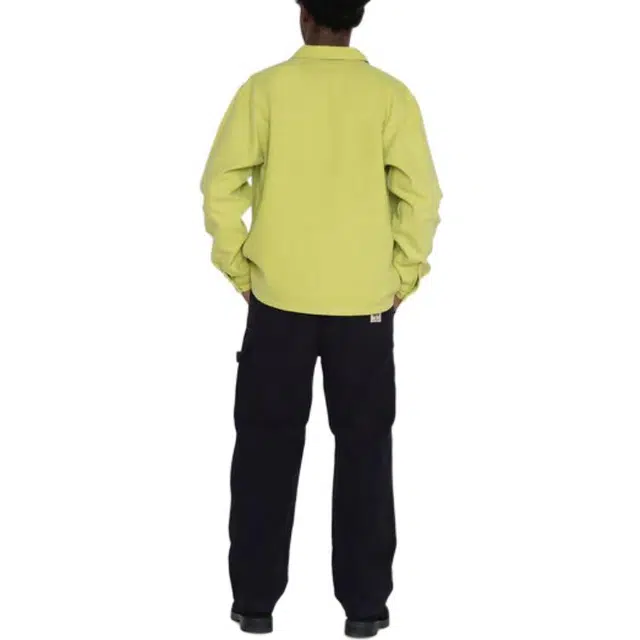 Stussy Canvas Work Pant