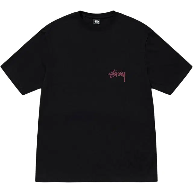 Stussy SS24 logoT