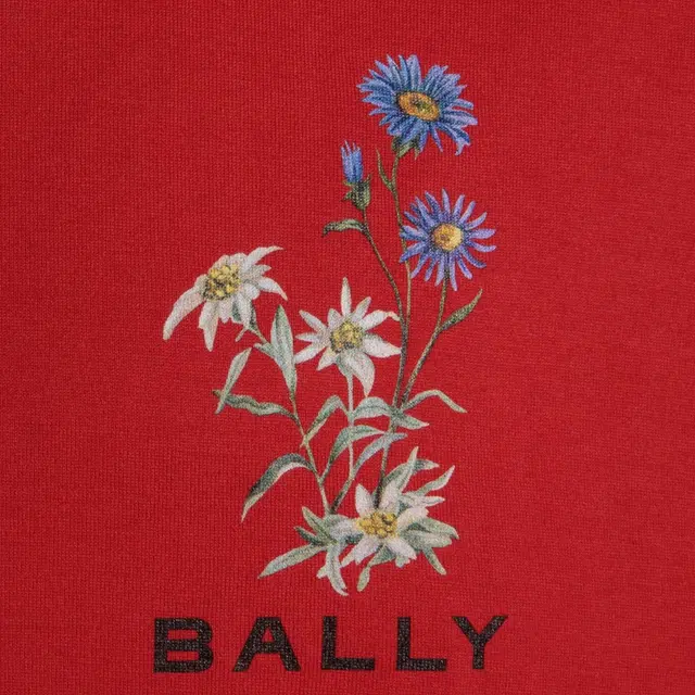 BALLY FW24 LogoT