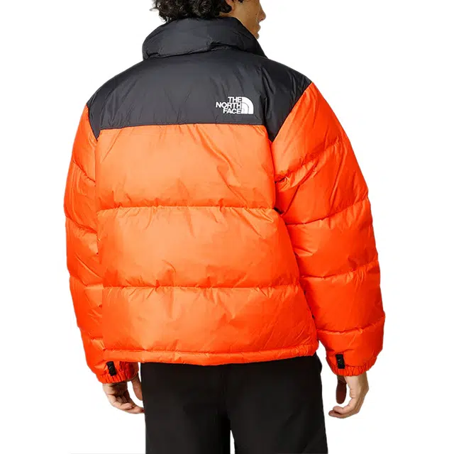 THE NORTH FACE 1996 Nuptse ICON 700