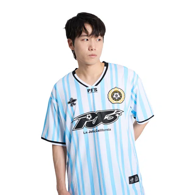 PJ's Vigor vT