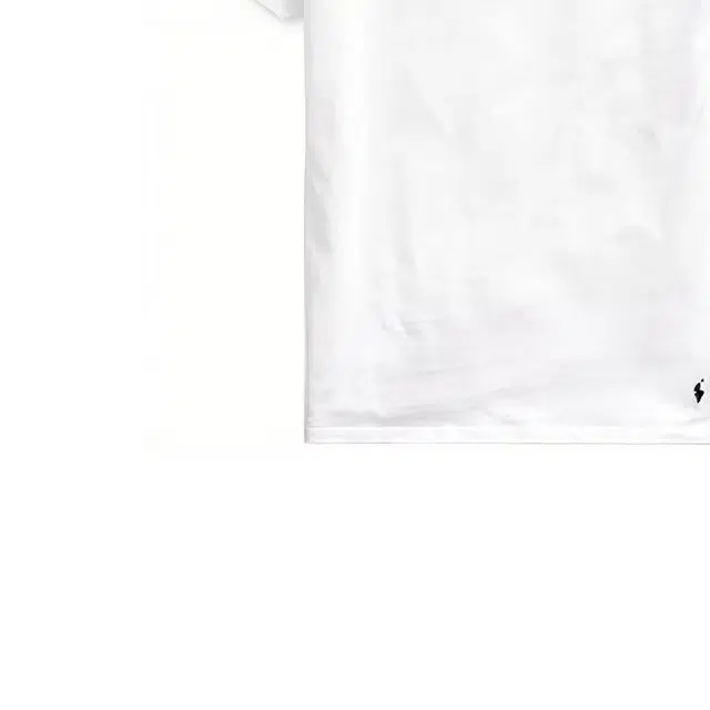 Polo Ralph Lauren SS23 LogoT 3