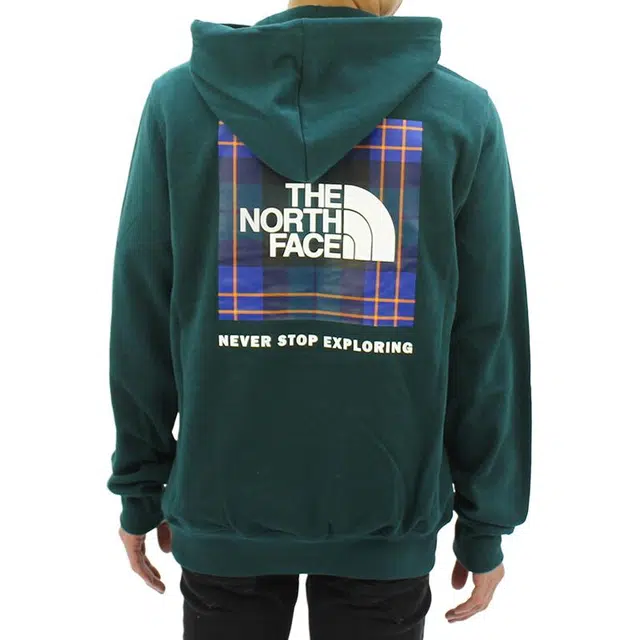 The North Face Nse Box Logo Hoodie Green