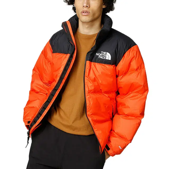 THE NORTH FACE 1996 Nuptse ICON 700