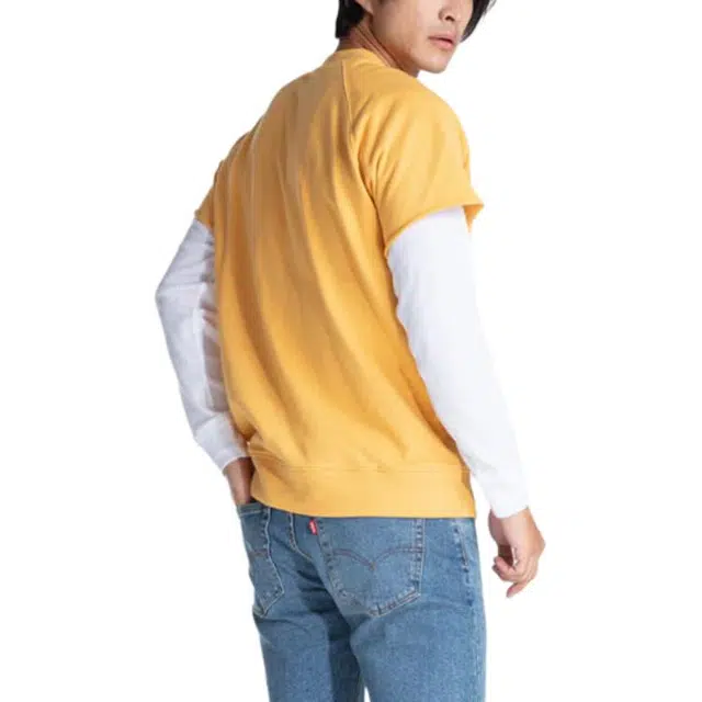 levis T