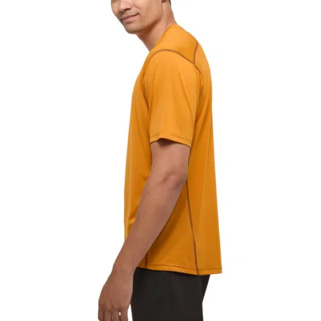 HAGLFS LogoT