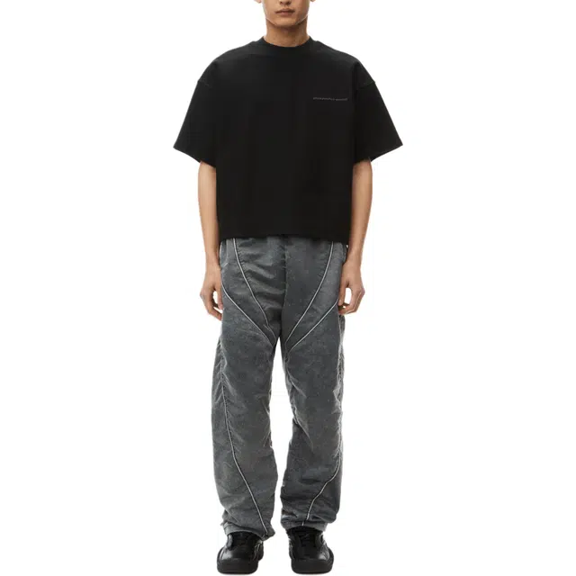 alexander wang FW24 T