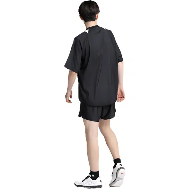 DESCENTE V