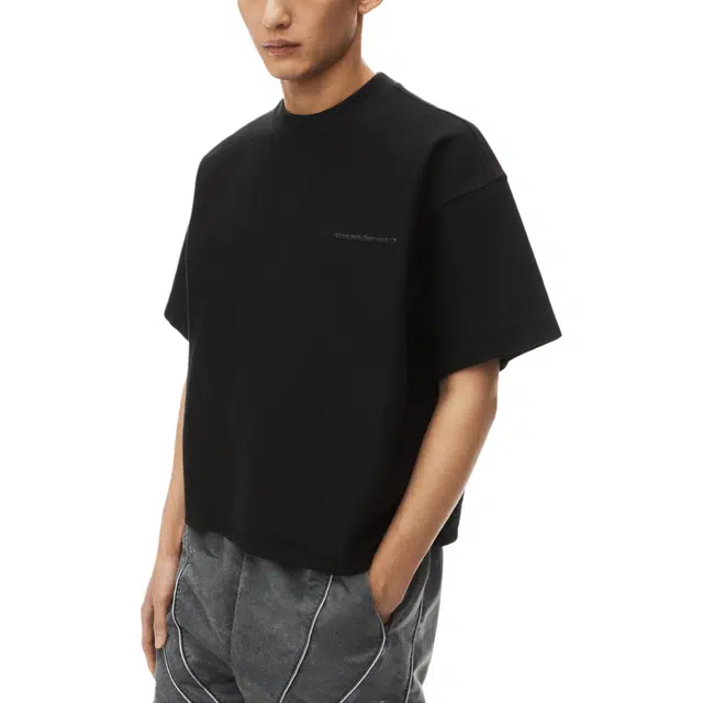 alexander wang FW24 T